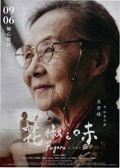 龙珠Z 热血热斗 国语版档案